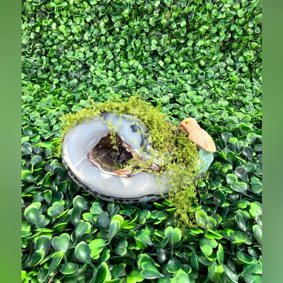 Other - Parrot carving on Agate Geode